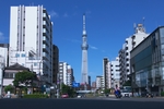 高楼大厦