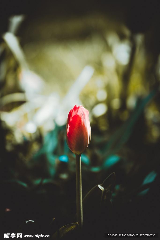 小花