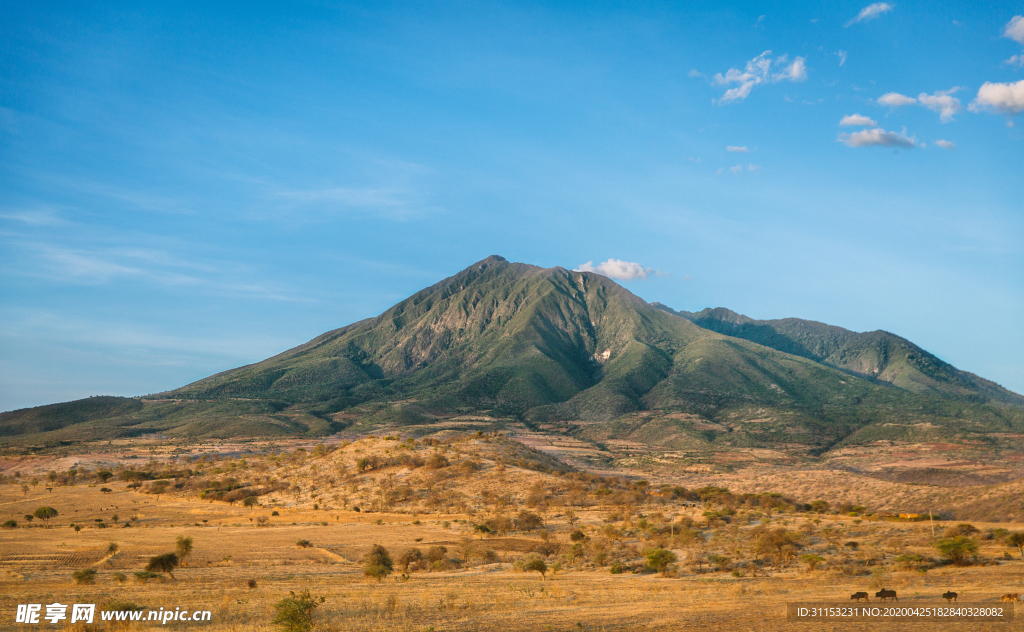 风景