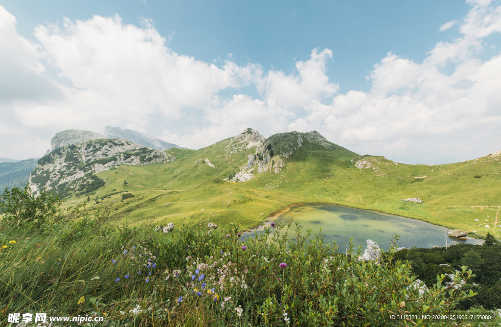 风景