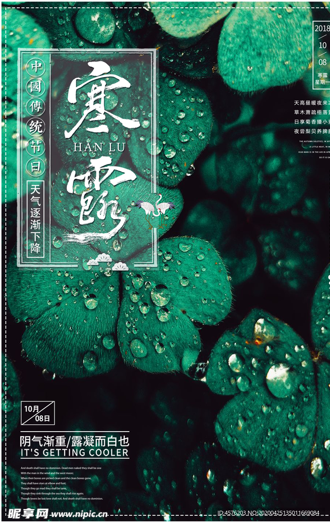 寒露节气