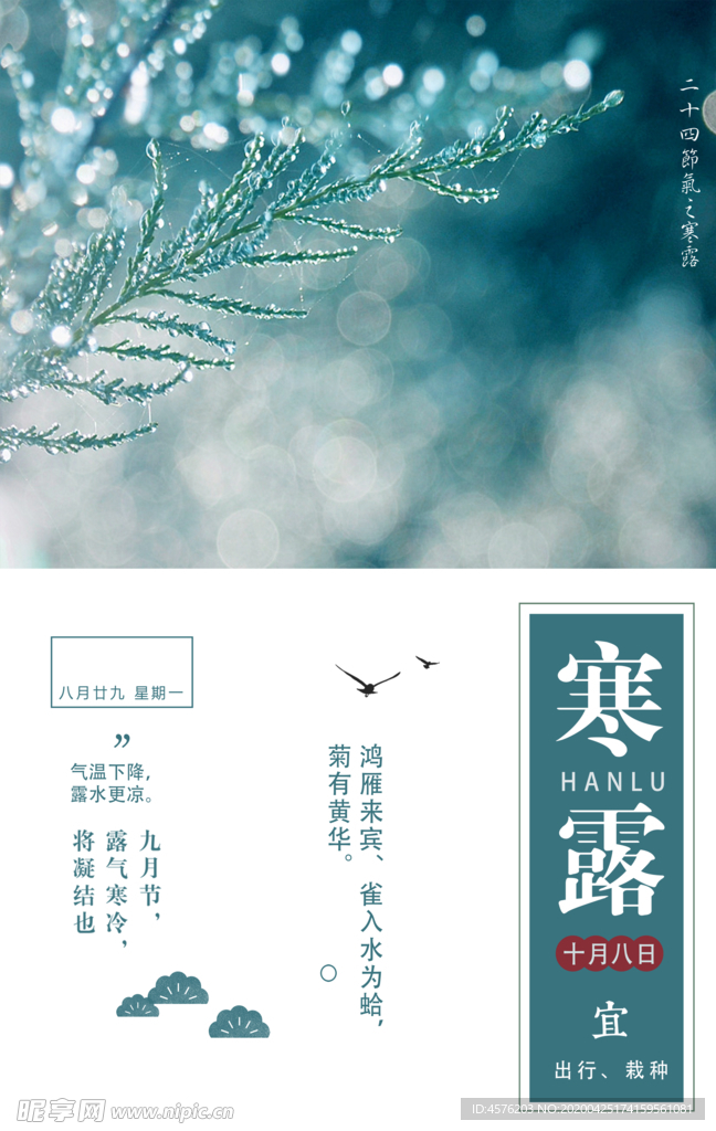 寒露节气