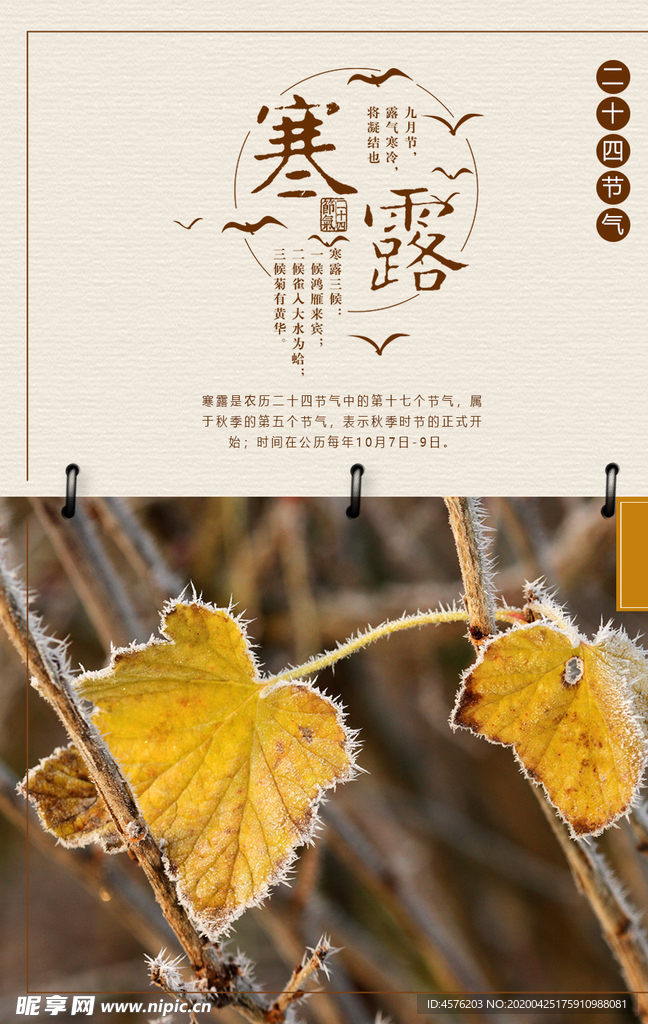 寒露节气