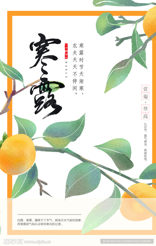 寒露节气