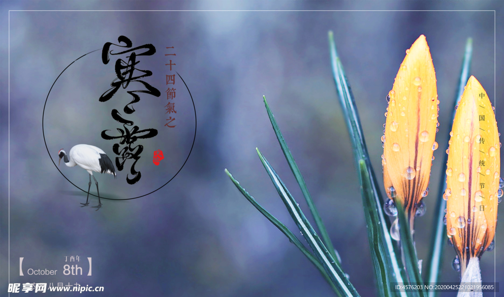 寒露节气