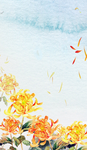 寒露节气