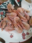 虾