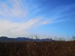 山