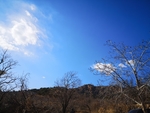 山