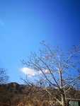 风景