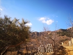 山