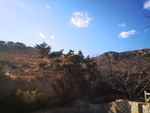 山