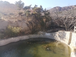 水池