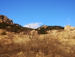 山