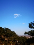 山