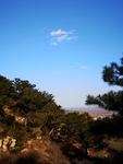 山