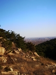 山坡