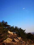 山