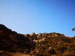 山