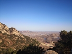 山