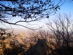 山