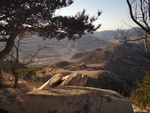 山