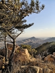 山