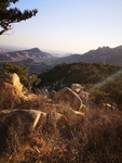 山