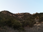 山