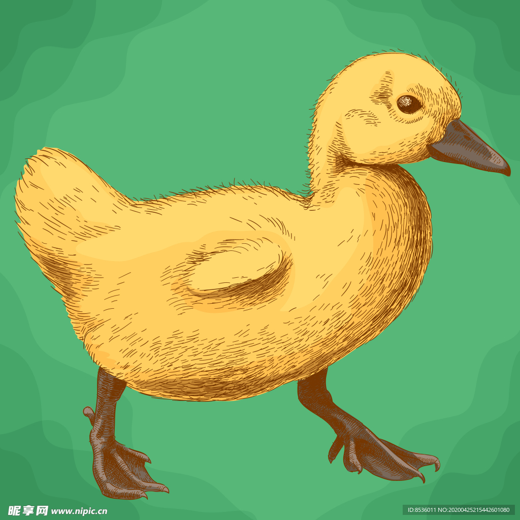 动物油画