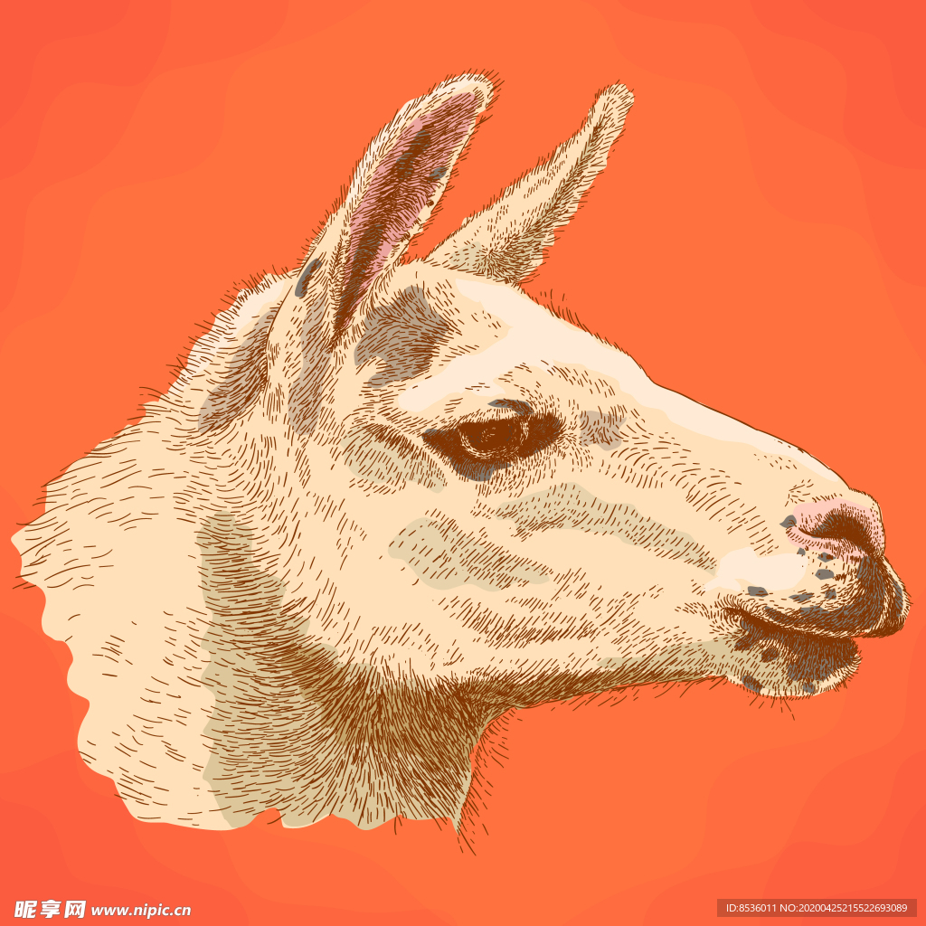 动物油画