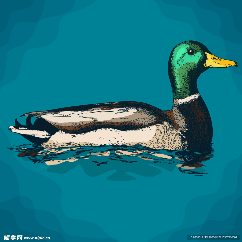 动物油画