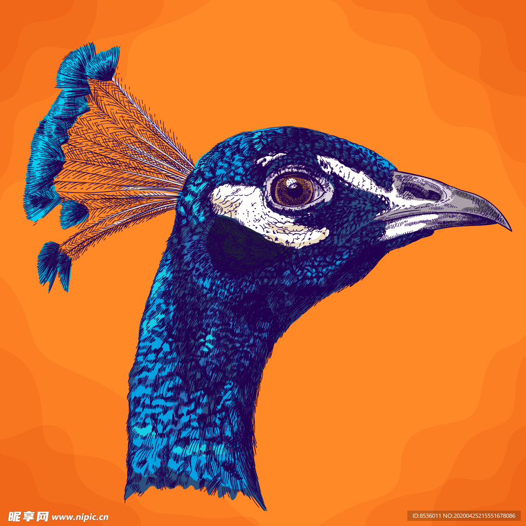 动物油画