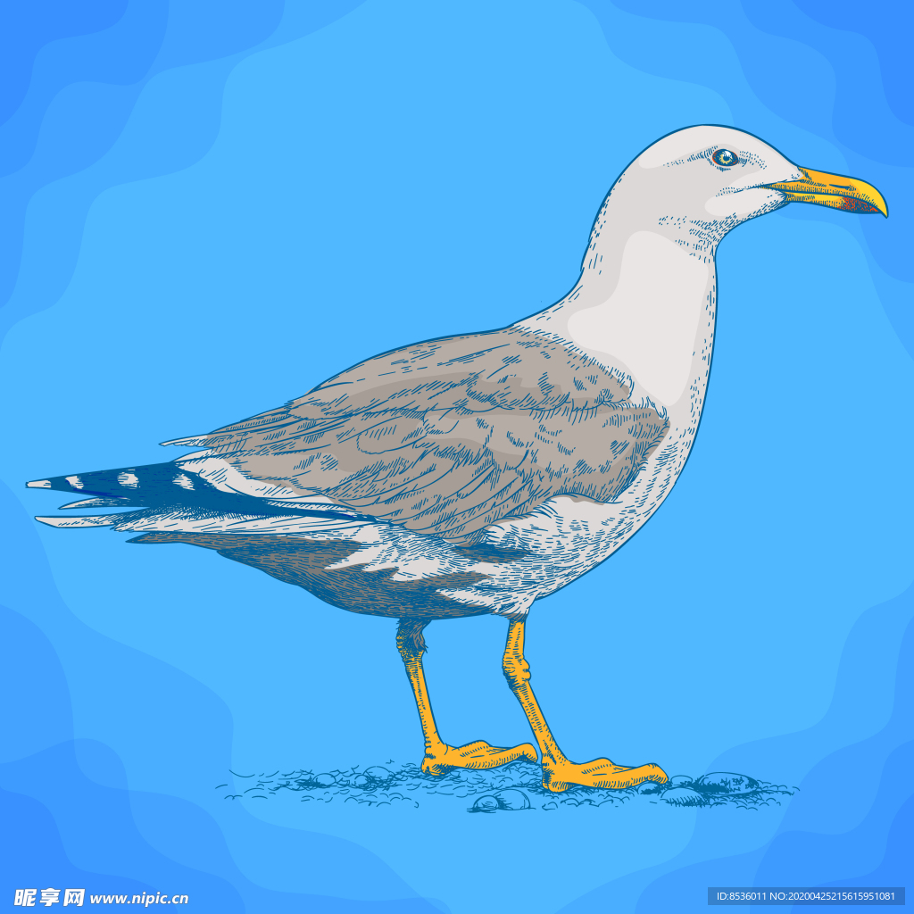 动物油画