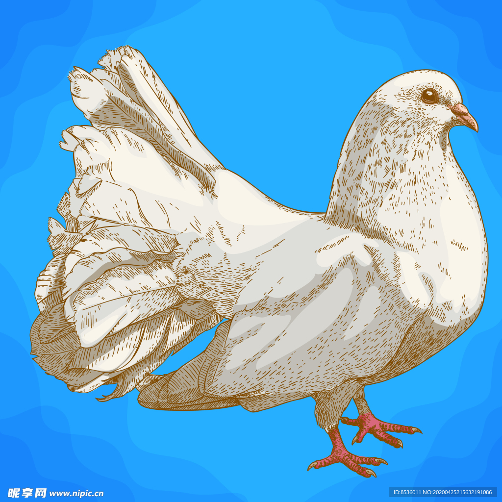 动物油画