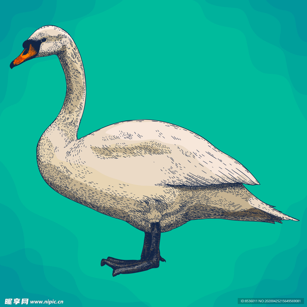 动物油画