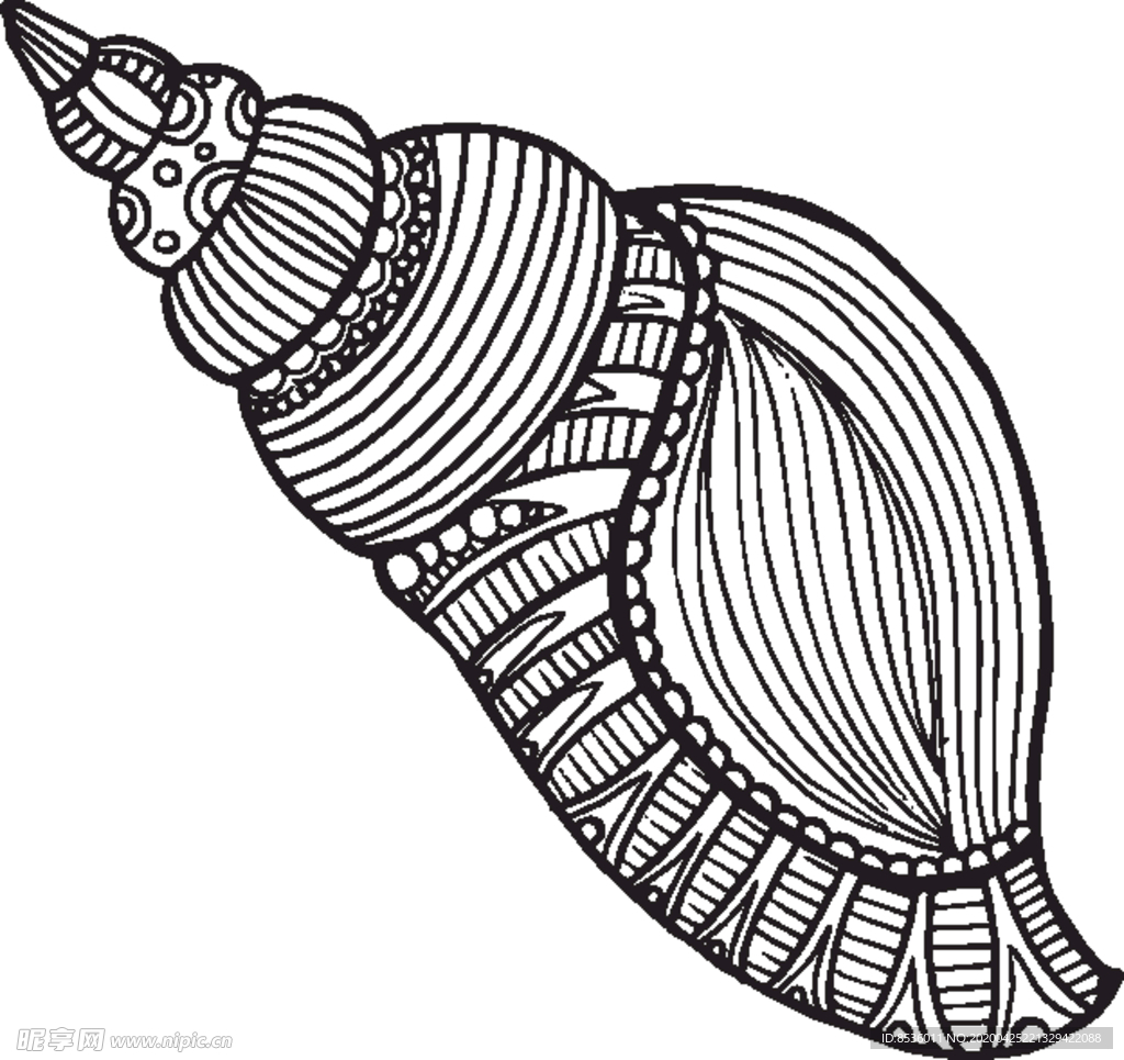 海螺素描