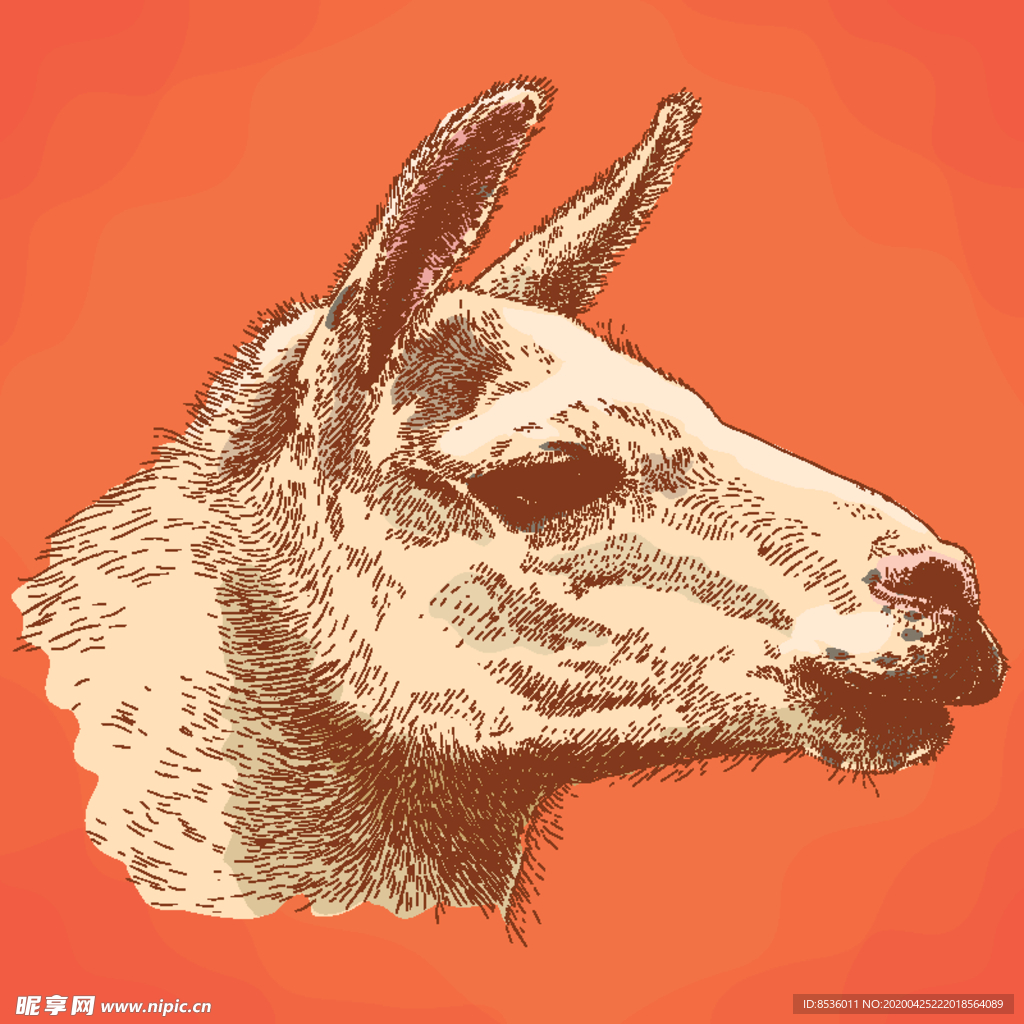 动物油画