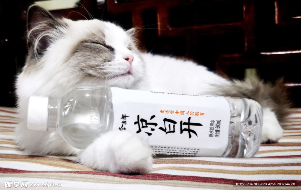 今麦郎凉白开“喝熟水休憩”