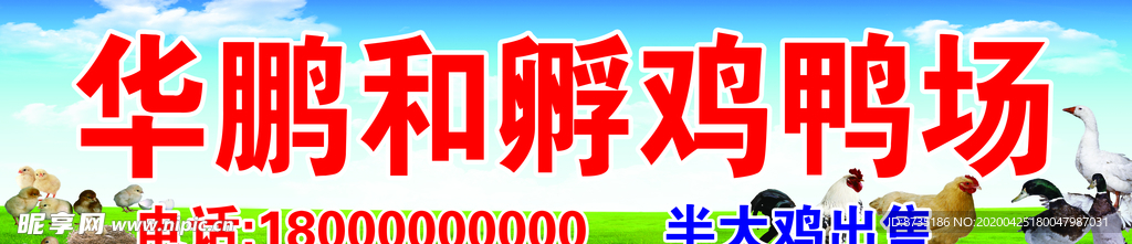 孵鸡鸭场广告