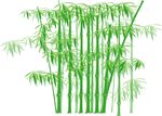手绘竹子素材