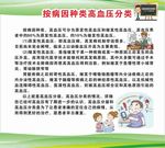 病因种类高血压分类