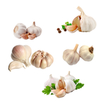 蒜