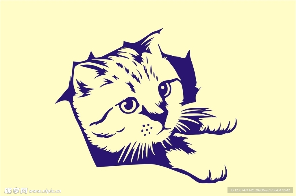 猫