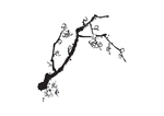 水墨梅花