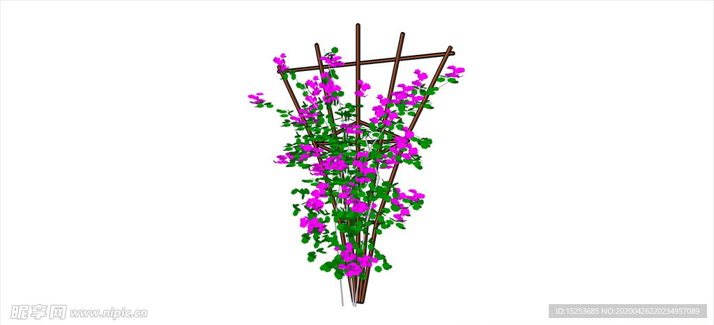 牵牛花模型