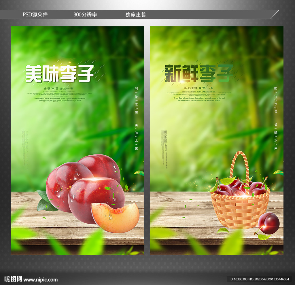 李子 新鲜水果