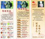 白桦茸卡片