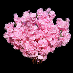 花艺