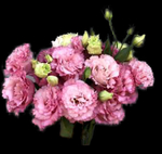 花艺